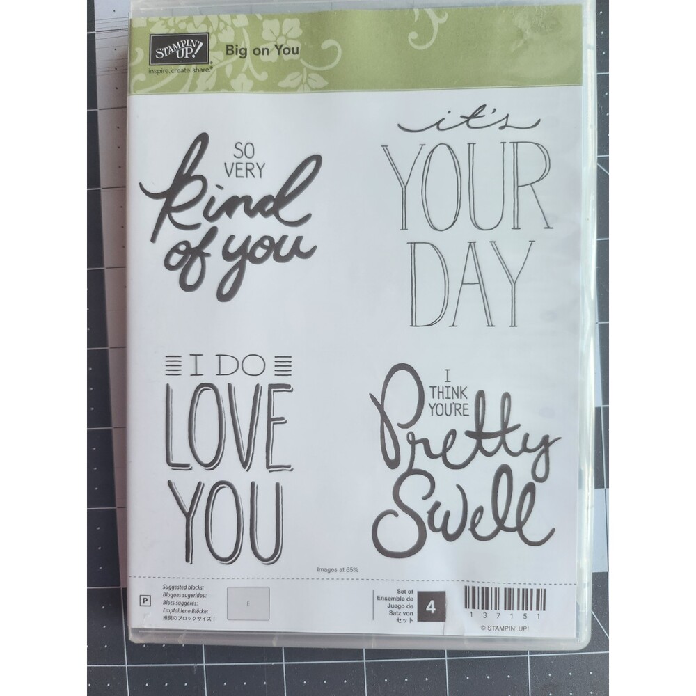 INVENTORY REDUCTION SALE. Stampin' UP! Big On You B21